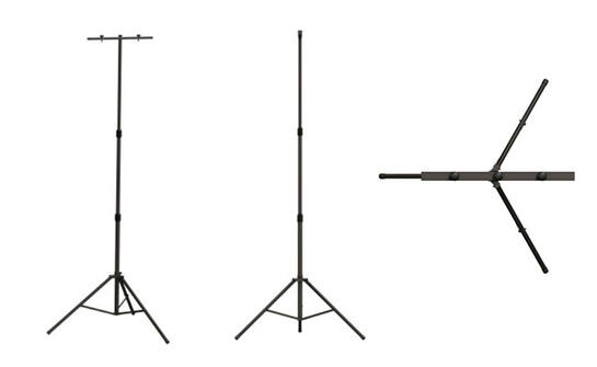 1thormsonschneider650x450