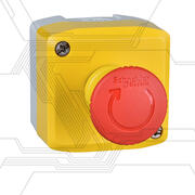 XALK1781_a.JPG